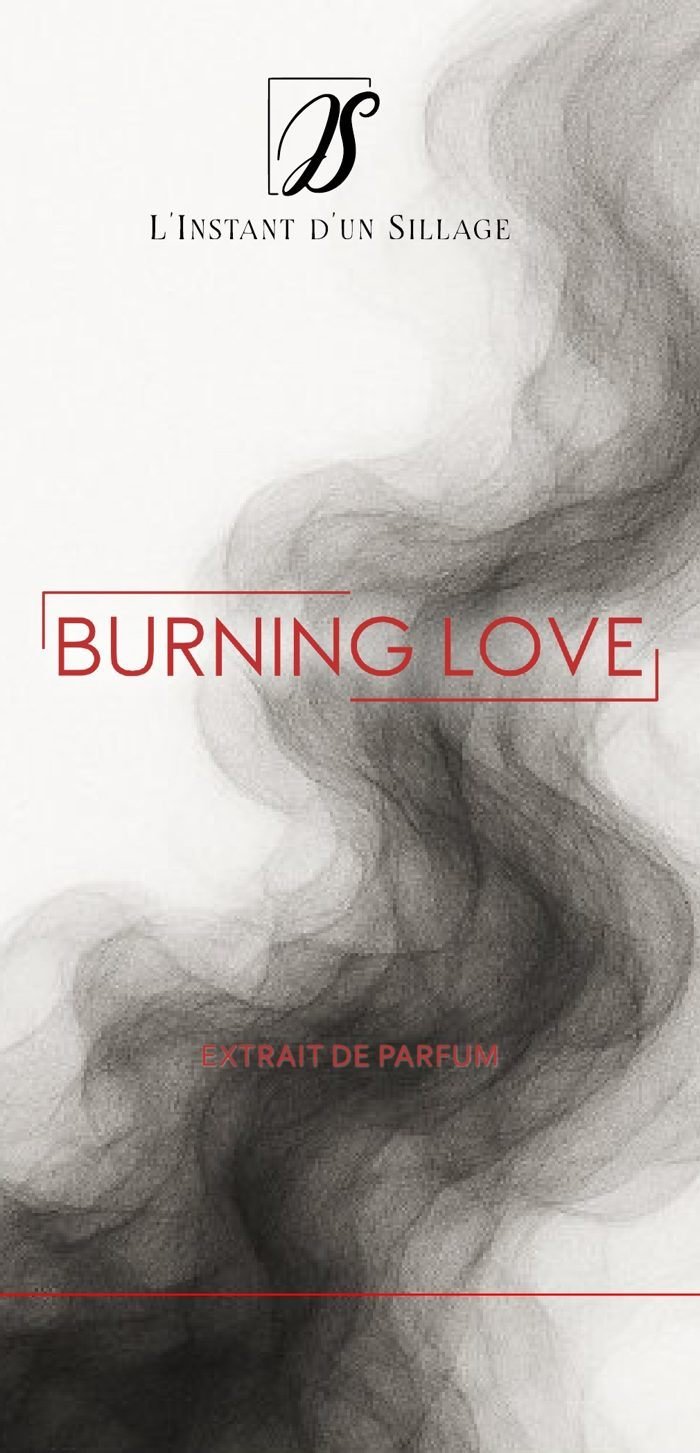 Le coffret Burning Love